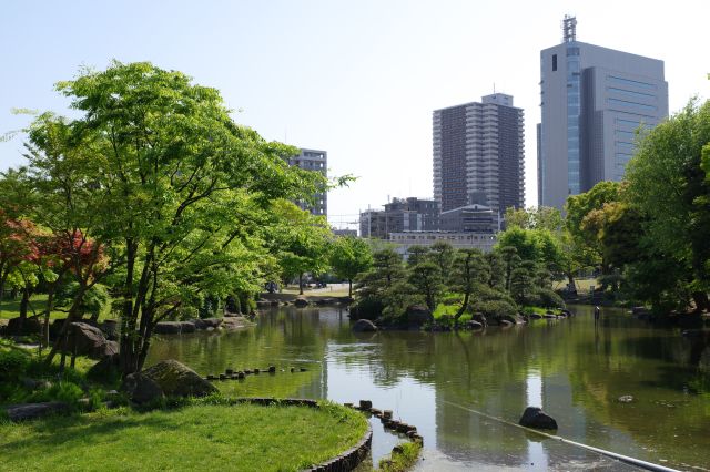 池の北側に展望スペースがあります。池の美しい眺めの場所です。