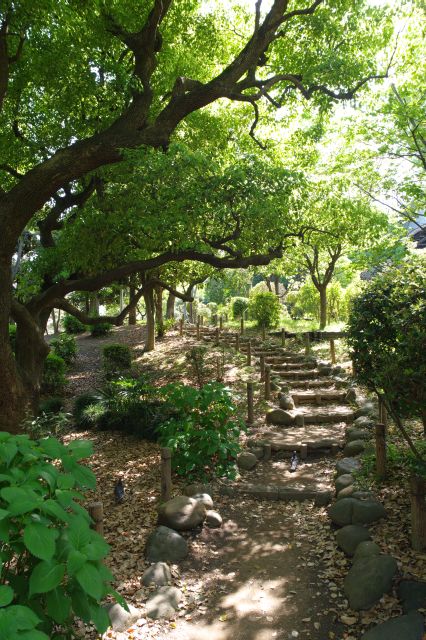 池の西側は自然豊かな小さな丘の道。