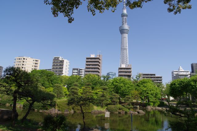 美しい庭園の池の周りを進みます。