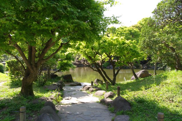 池の方へ。石の道も趣がある。