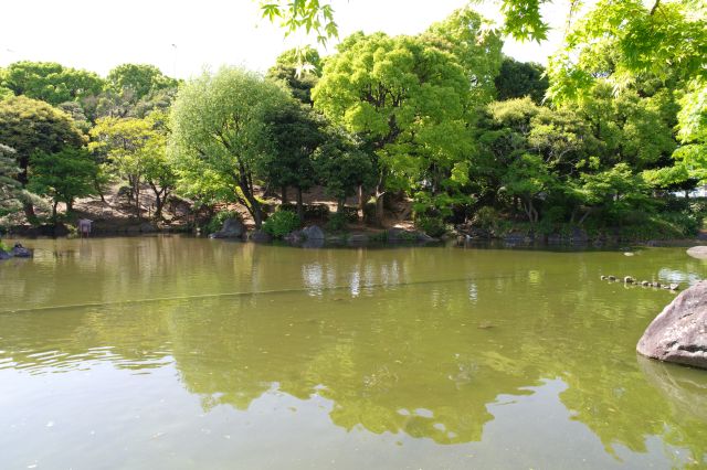 目前に広がる池や植物を楽しみます。