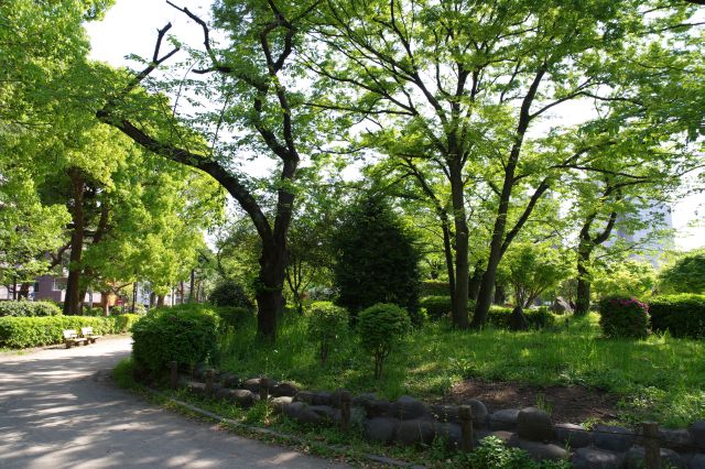 一角ある牛嶋神社付近より。