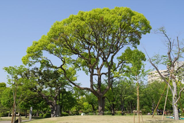 自然の心地よさが感じられる公園でした。