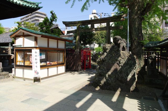 拝殿の右手、獅子山が向かい合います。