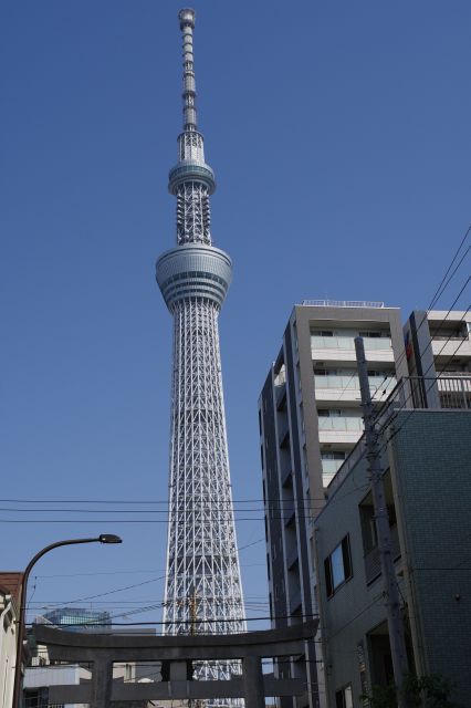 東側の鳥居越しに東京スカイツリーがそびえ立ちます。