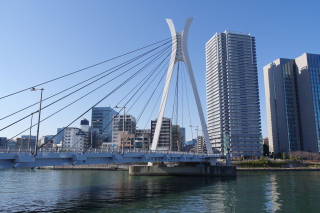 吊橋の中央大橋。