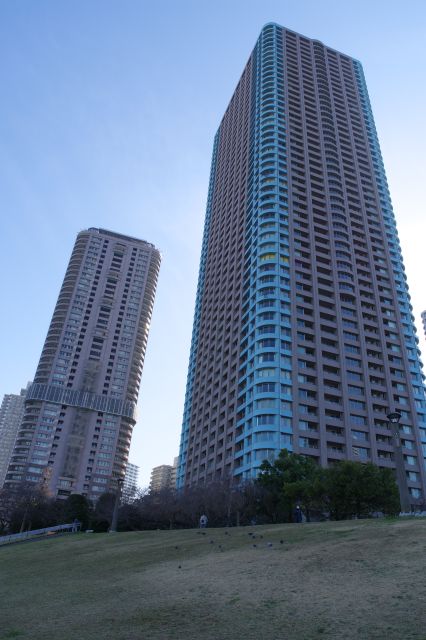 背後にそびえ立つ高層マンション。