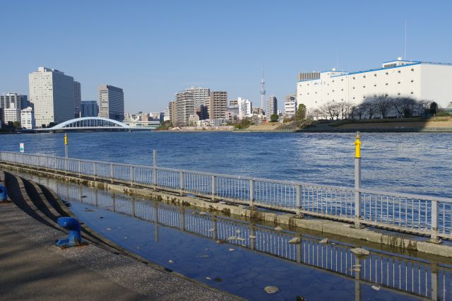 永代橋方面を振り返る。