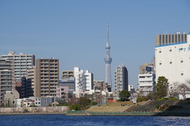 場所によって建物の間から東京スカイツリーが見えます。