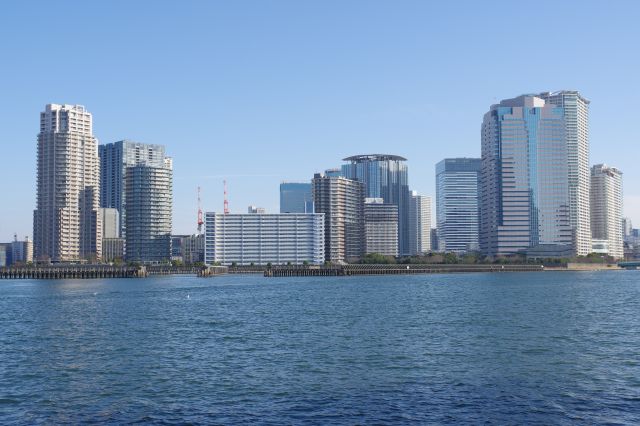 目前の豊洲の高層ビル群は圧巻です。