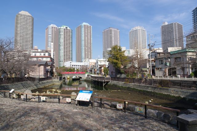 堀の端へ。干潟のような水辺に赤い佃小橋と風情ある街並み、そして奥のタワーマンションとの対比が印象的。