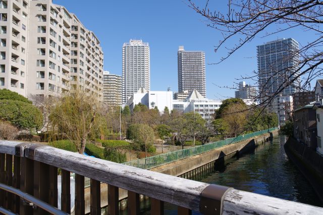 佃公園の佃川支川沿いの部分です。背後には高層マンション群。