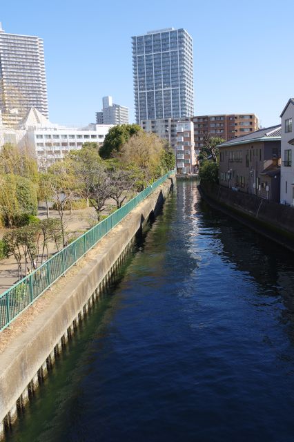 佃川支川を渡ります。