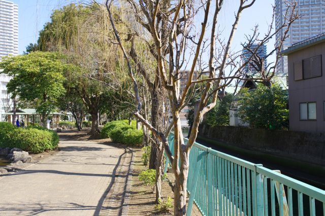 対岸の角には住吉神社があります。