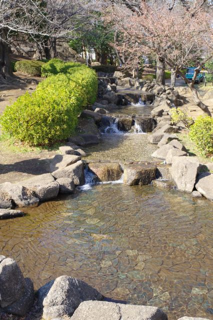 公園内の段差のある川の流れ。