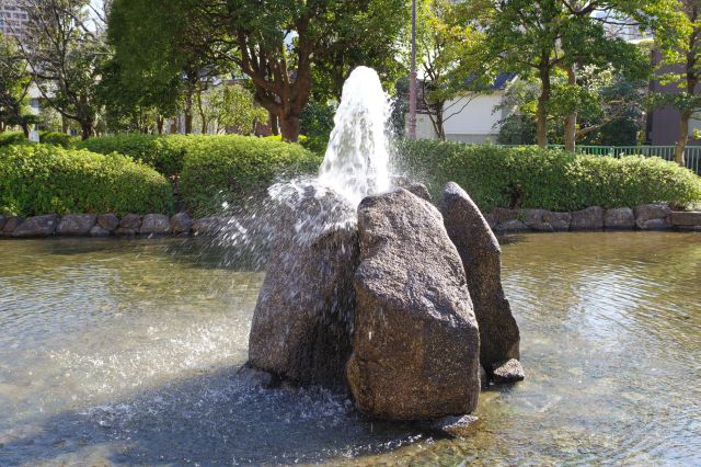 池の中央の噴水。