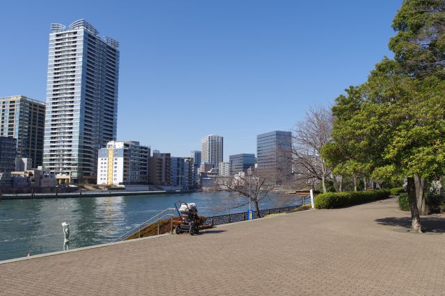 堤防の上の開放感のある公園です。