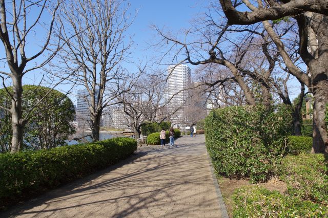 犬の散歩、親子連れ等、穏やかで心地よい公園です。