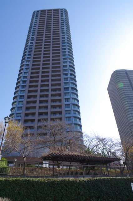 背後に高層マンション。