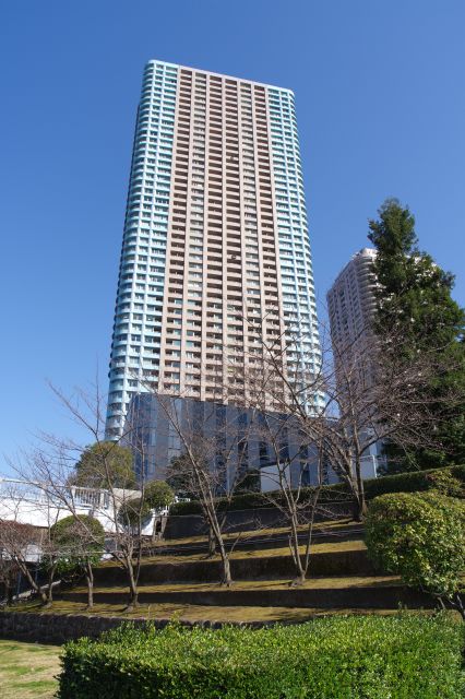 背後に高層マンション。