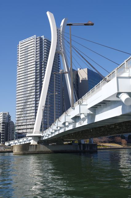 中央大橋をくぐると石川島公園になります。