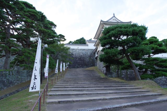 松の木の間の階段を登ります。