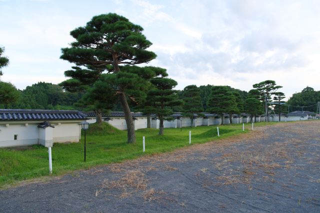 長い塀が続き松の木があります。