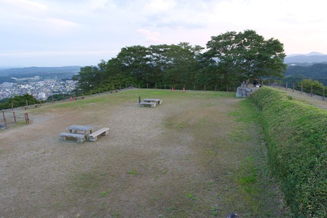 本丸広場を眺める。奥の木々も高い。