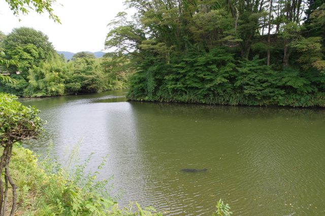 幅の広い堀です。