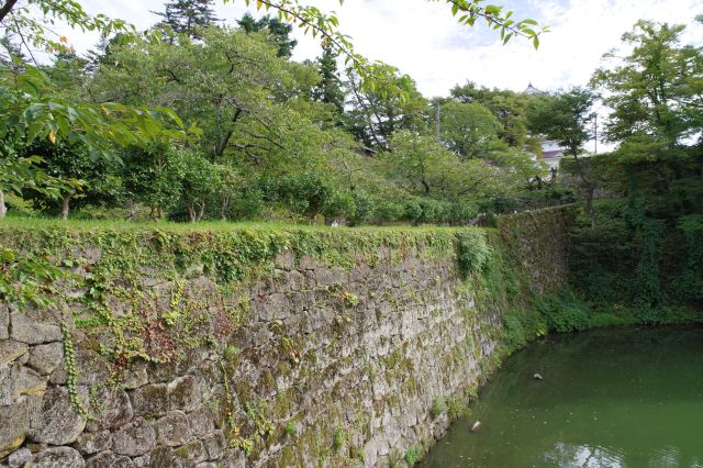 本丸への椿坂(横手坂)。