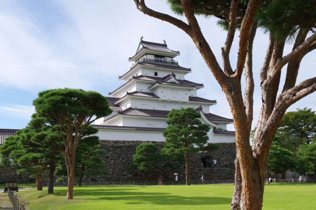 広場の松の木越の天守も風情。