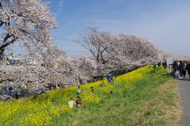 美しい風景が延々と続きます。