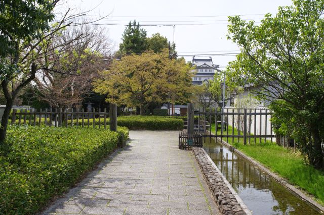 緑と水の音が心地よい小路を進みます。