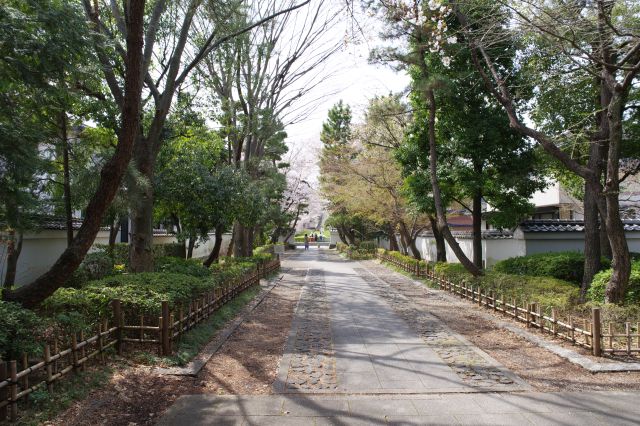 塀に囲まれた小路はお城の雰囲気。