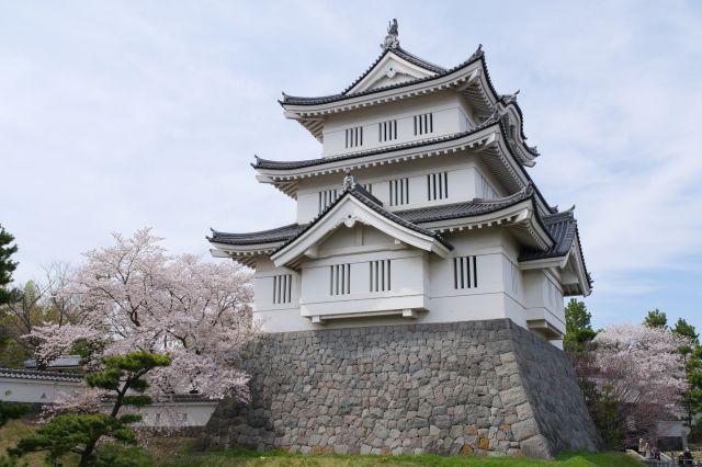 周囲は桜があります。