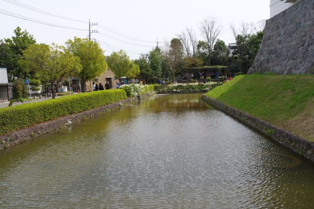 橋からの水濠。鯉がいました。