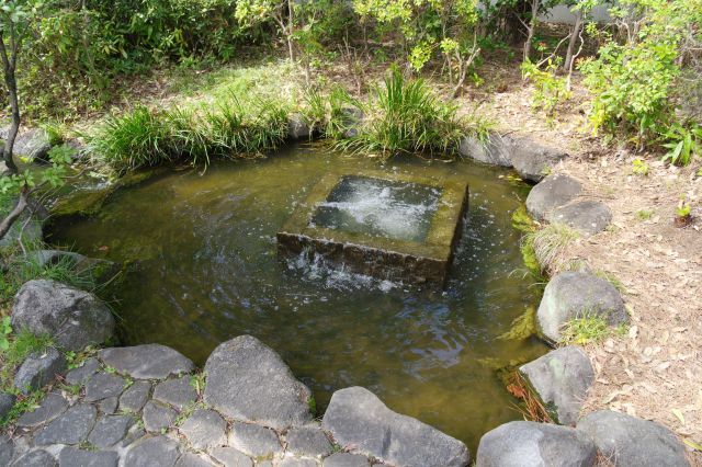 付近では水が湧き出ています。