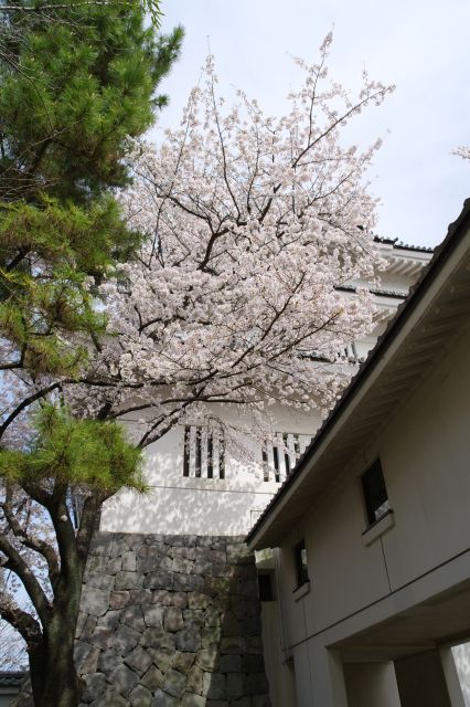 櫓へは博物館からの通路を渡って入ります。