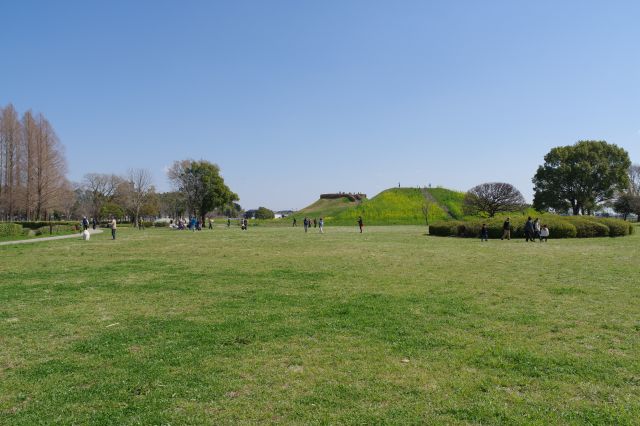 開放的な芝生広場。奥には稲荷山古墳。