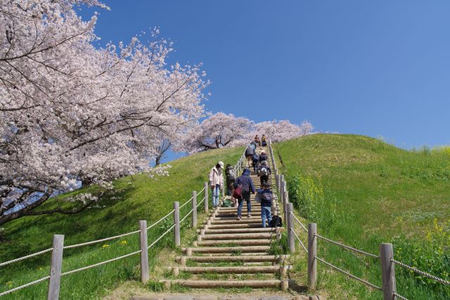 古墳へと階段を登ります。