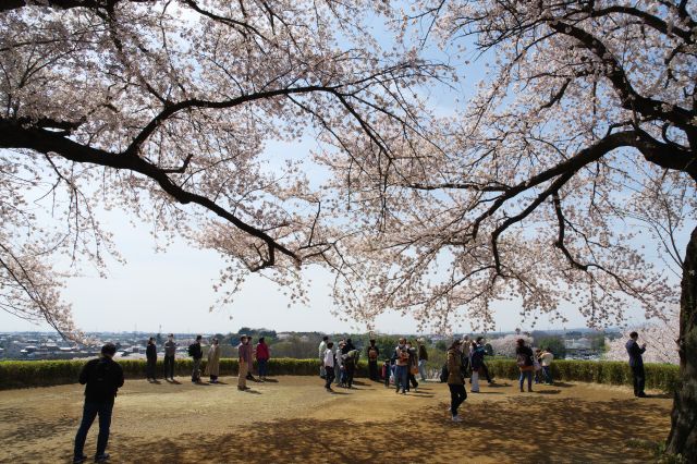 古墳上の広場の様子。