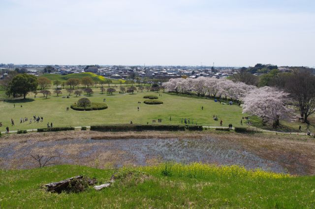 芝生広場、奥には将軍山古墳。