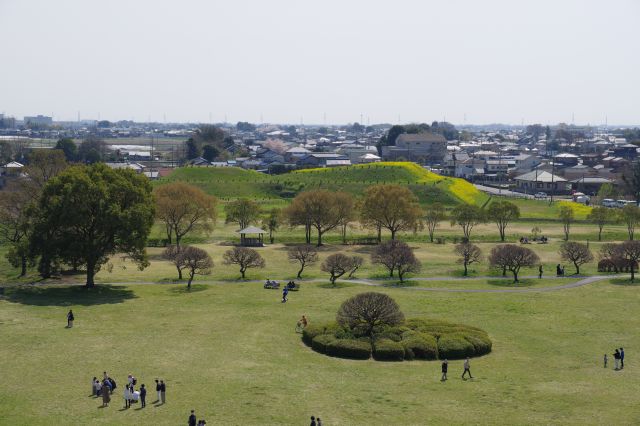 将軍山古墳。