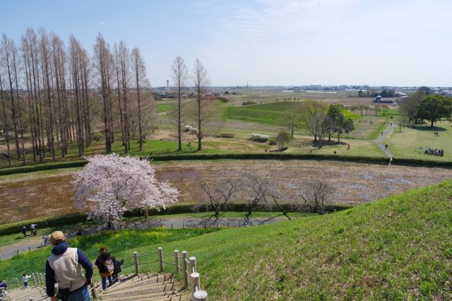 階段を下ります。