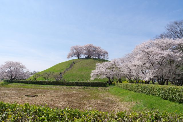 順路を進み古墳から離れます。