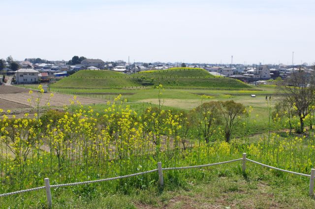 隣の将軍山古墳。