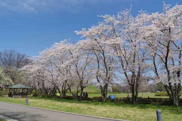 石田堤から右の道へ合流。