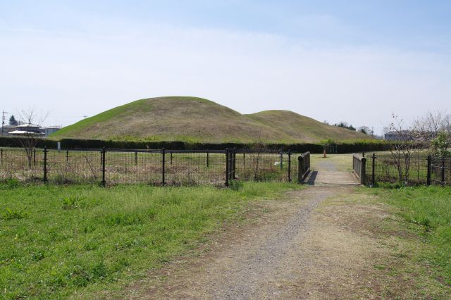 そのまま南へ進むと二子山古墳があります。園内で一番大きな前方後円墳です。