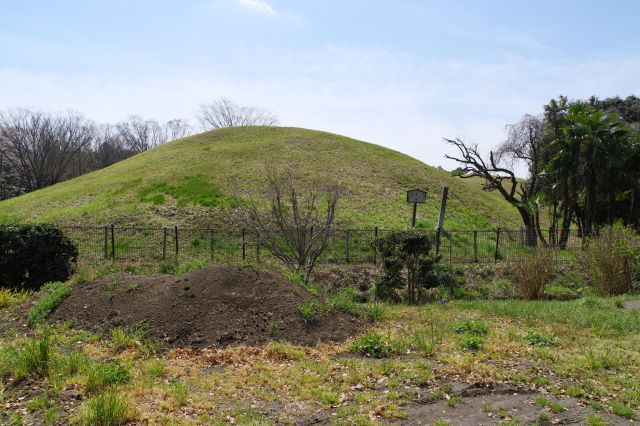 車道を渡っても古墳群が続きます。鉄砲山古墳、左手に桜の木々がありました。