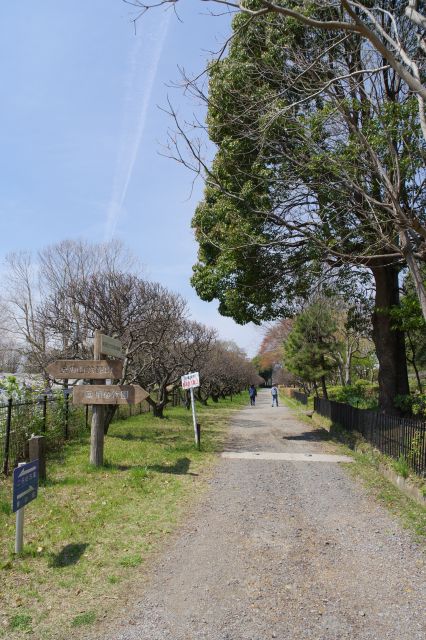 右に曲がる道を進んでいきます。